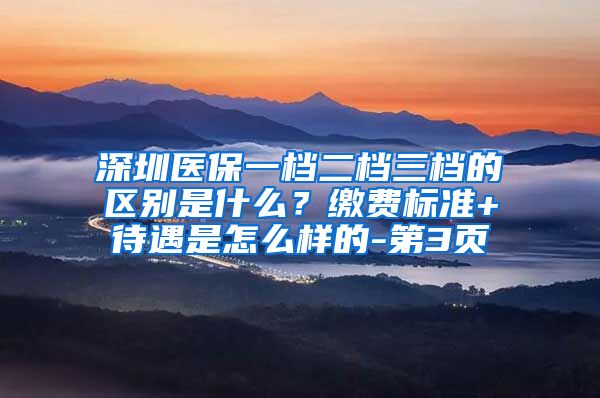 深圳医保一档二档三档的区别是什么？缴费标准+待遇是怎么样的-第3页