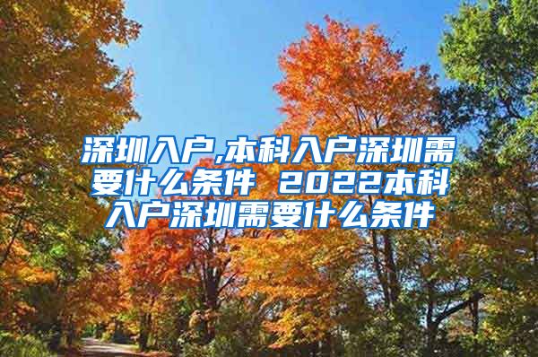 深圳入户,本科入户深圳需要什么条件 2022本科入户深圳需要什么条件