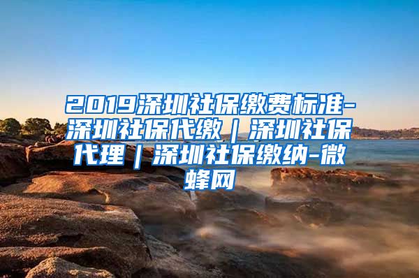 2019深圳社保缴费标准-深圳社保代缴｜深圳社保代理｜深圳社保缴纳-微蜂网
