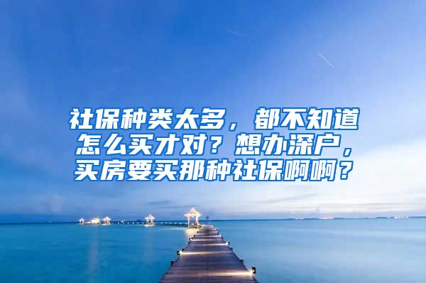 社保种类太多，都不知道怎么买才对？想办深户，买房要买那种社保啊啊？