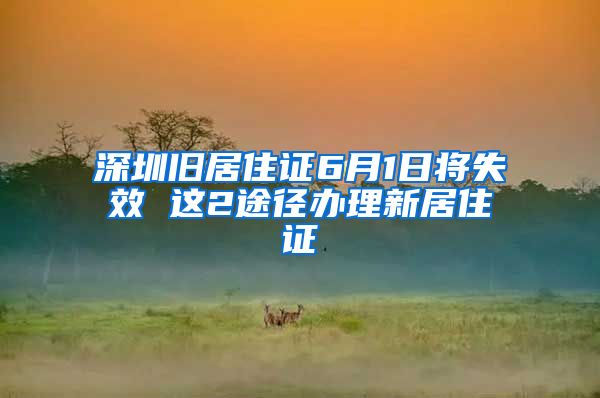 深圳旧居住证6月1日将失效 这2途径办理新居住证