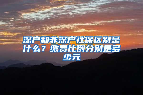 深户和非深户社保区别是什么？缴费比例分别是多少元