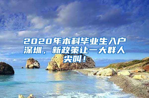 2020年本科毕业生入户深圳，新政策让一大群人尖叫！