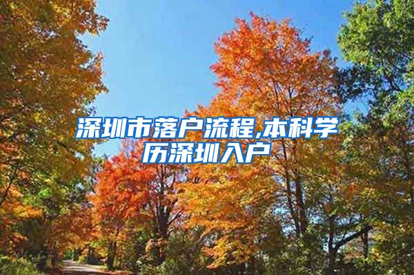 深圳市落户流程,本科学历深圳入户