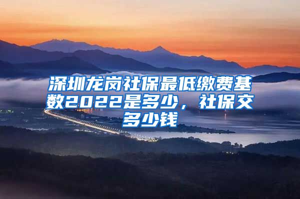 深圳龙岗社保最低缴费基数2022是多少，社保交多少钱