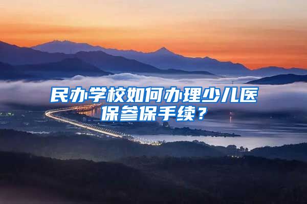 民办学校如何办理少儿医保参保手续？