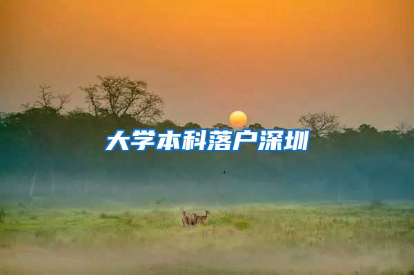 大学本科落户深圳