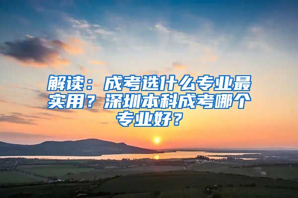 解读：成考选什么专业最实用？深圳本科成考哪个专业好？