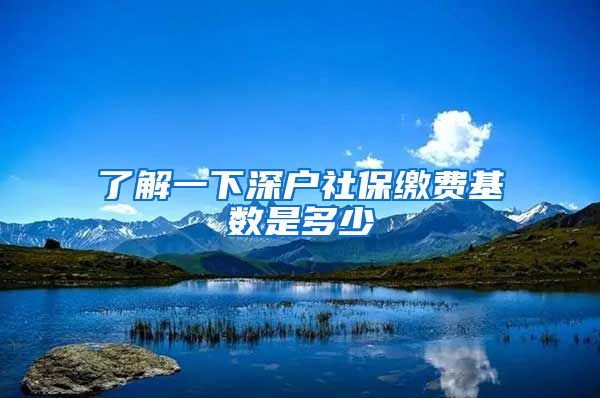 了解一下深户社保缴费基数是多少