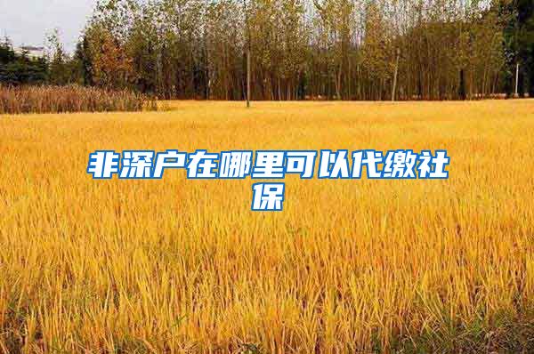 非深户在哪里可以代缴社保