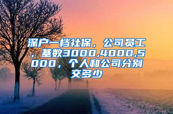 深户一档社保，公司员工，基数3000,4000,5000，个人和公司分别交多少