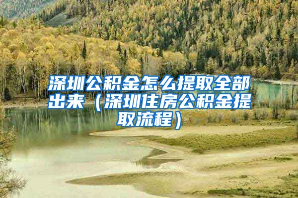 深圳公积金怎么提取全部出来（深圳住房公积金提取流程）