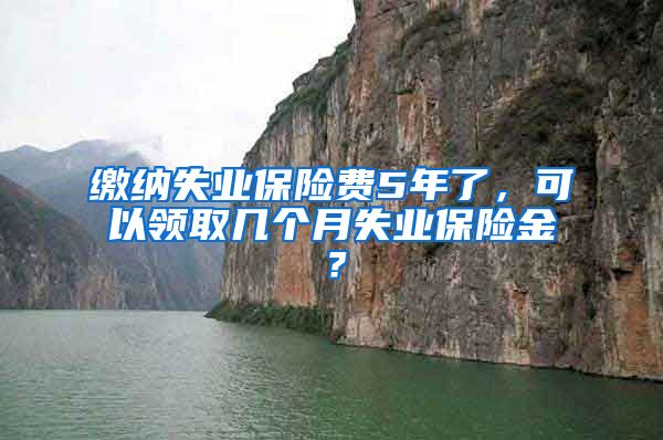 缴纳失业保险费5年了,可以领取几个月失业保险金?