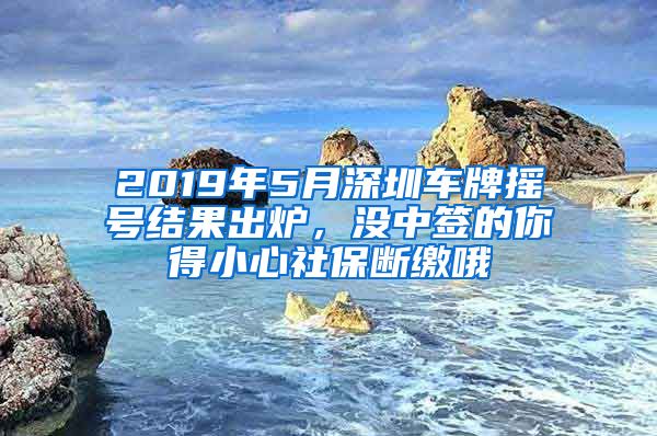 2019年5月深圳车牌摇号结果出炉，没中签的你得小心社保断缴哦