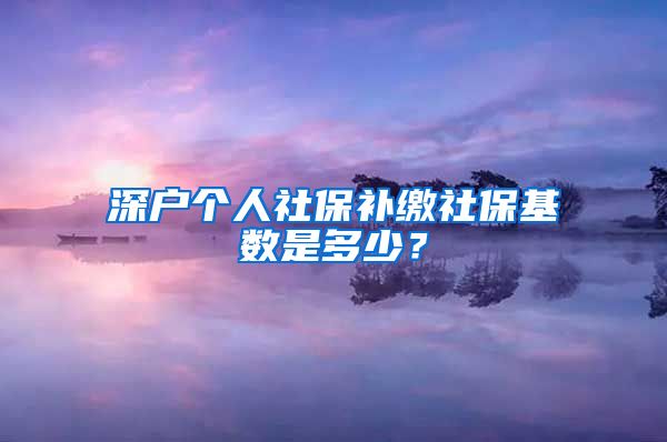 深户个人社保补缴社保基数是多少？