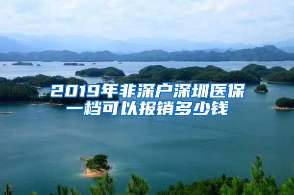 2019年非深户深圳医保一档可以报销多少钱