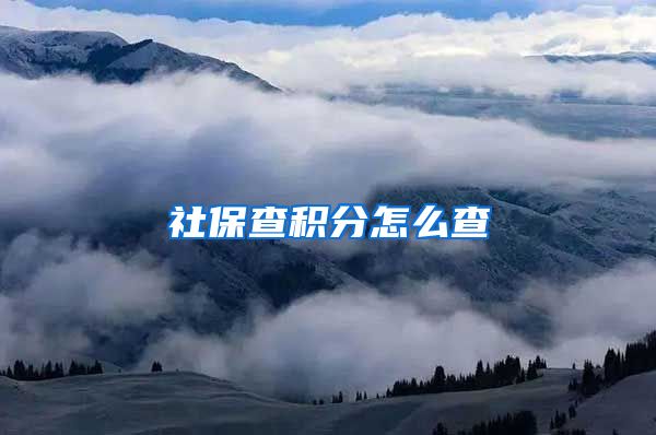 社保查积分怎么查