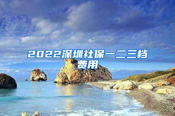 2022深圳社保一二三档费用
