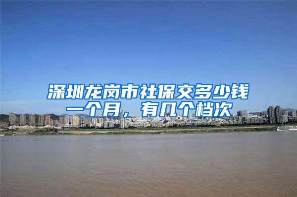 深圳龙岗市社保交多少钱一个月，有几个档次